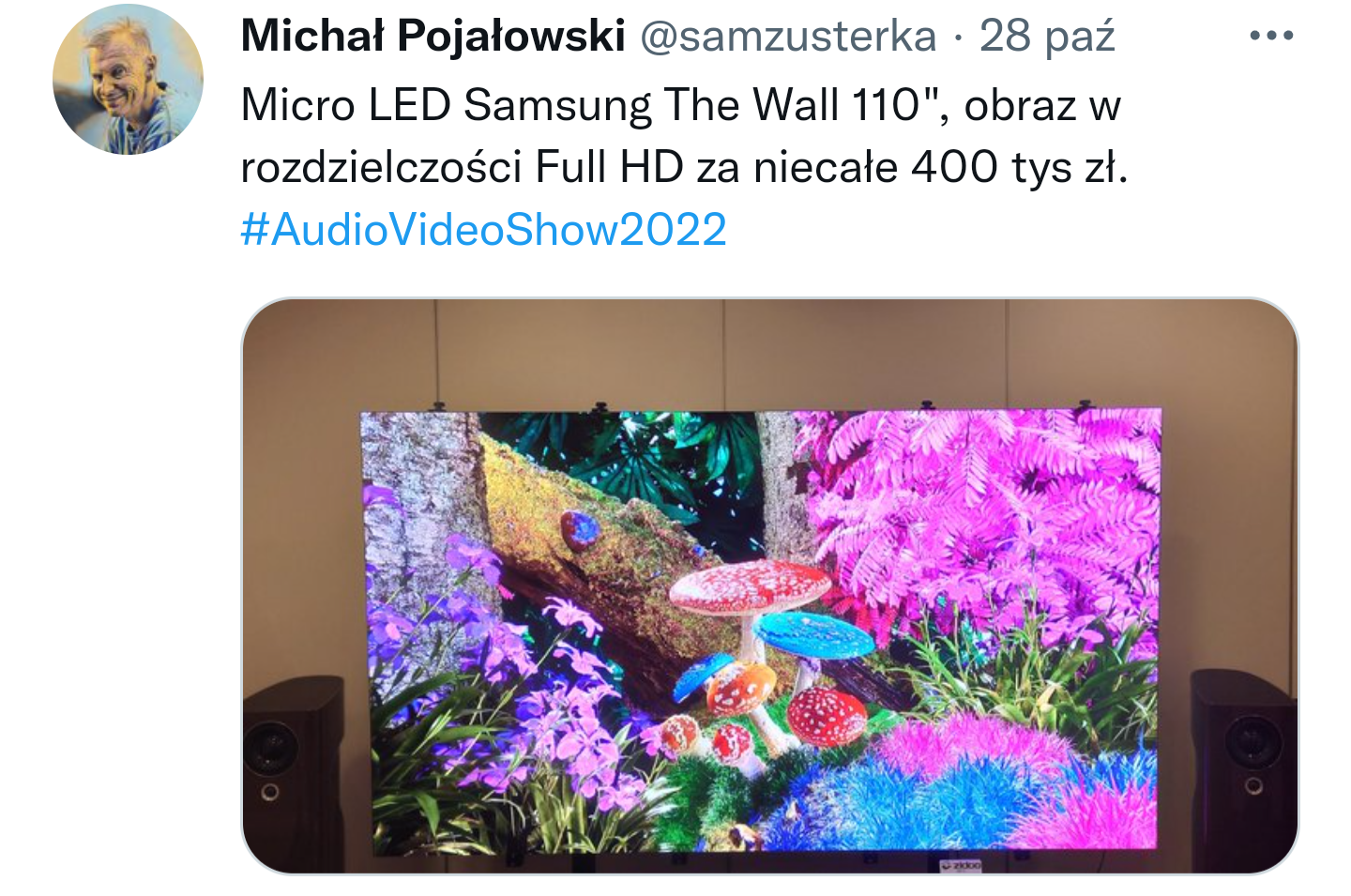 Polish_20221107_202414485.png