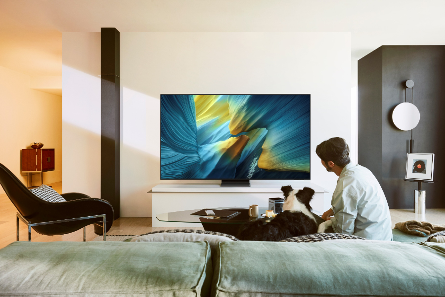 Samsung S95F.jpg