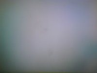 DSC00134.JPG