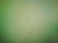 DSC00136.JPG