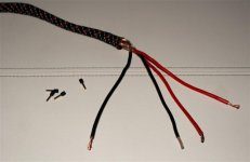 DSC06959 (Small).jpg